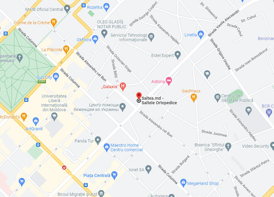 Saltea.md - Google My Business Map